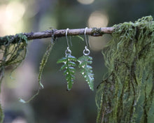 Load image into Gallery viewer, Fern Earrings
