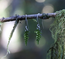 Load image into Gallery viewer, Fern Earrings
