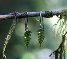 Load image into Gallery viewer, Fern Earrings
