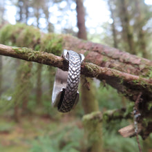 Load image into Gallery viewer, Serpent Spinner Ring
